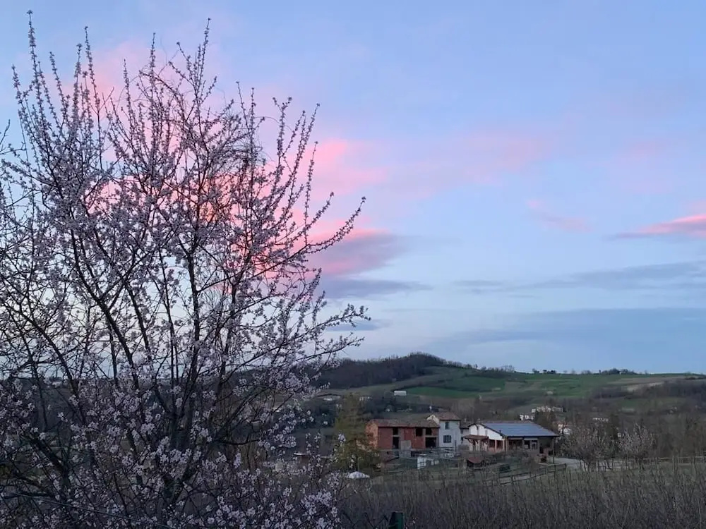 Tenuta di Cascina Diavolo dei Boschi