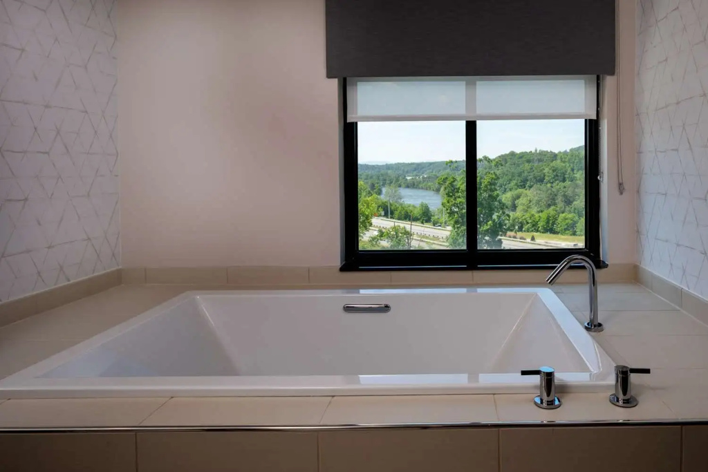 Hilton Asheville Biltmore Park - Général
