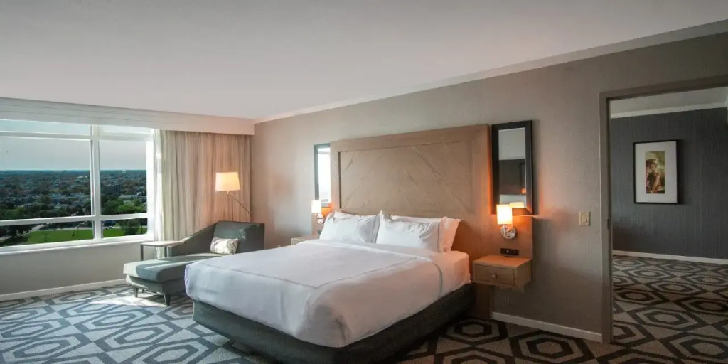 Deluxe Double Suite with city view full double bed