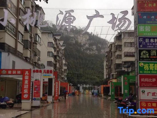 Liuzhou Old Tree Youth Hostel