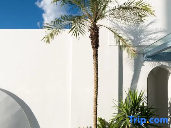 Balcony & Terrace