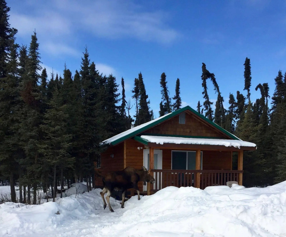 Salmon Catcher Lodge - Général