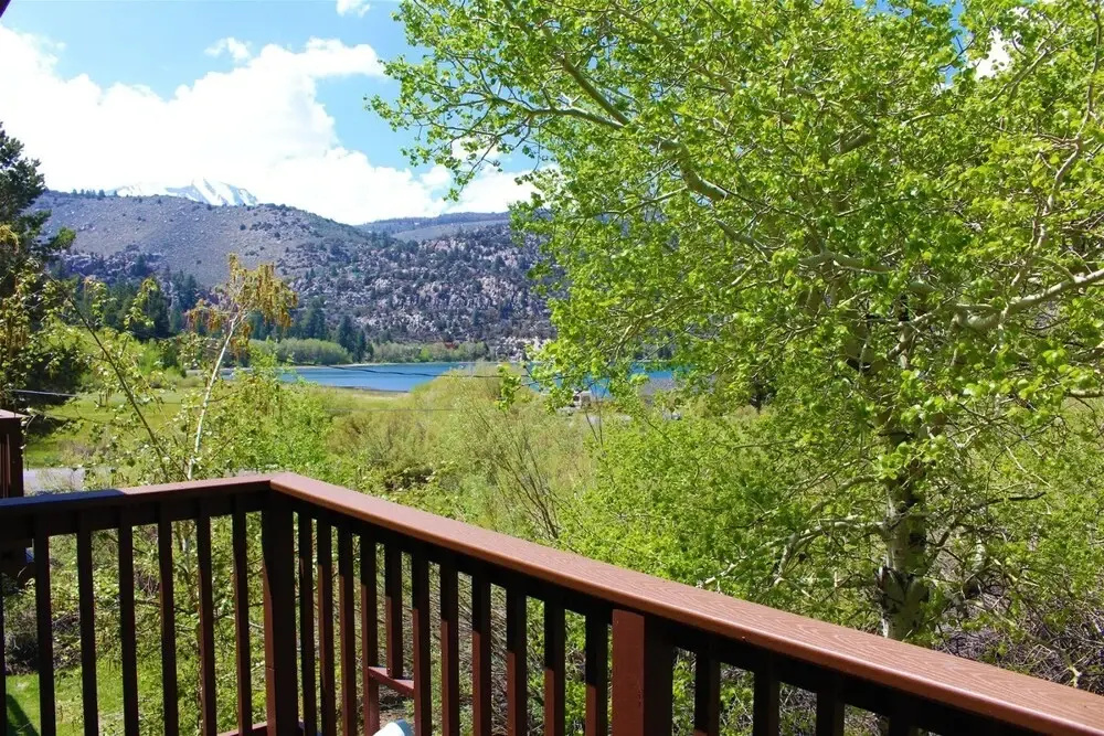 Sierra Suns 12
