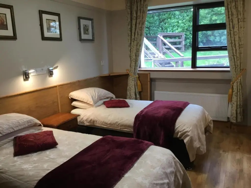 Kylemore Pass Hotel - Chambres