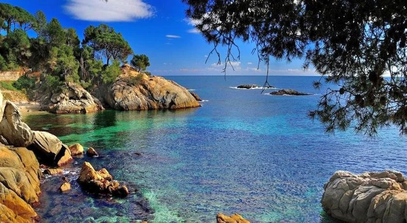 Beach & Waterfront