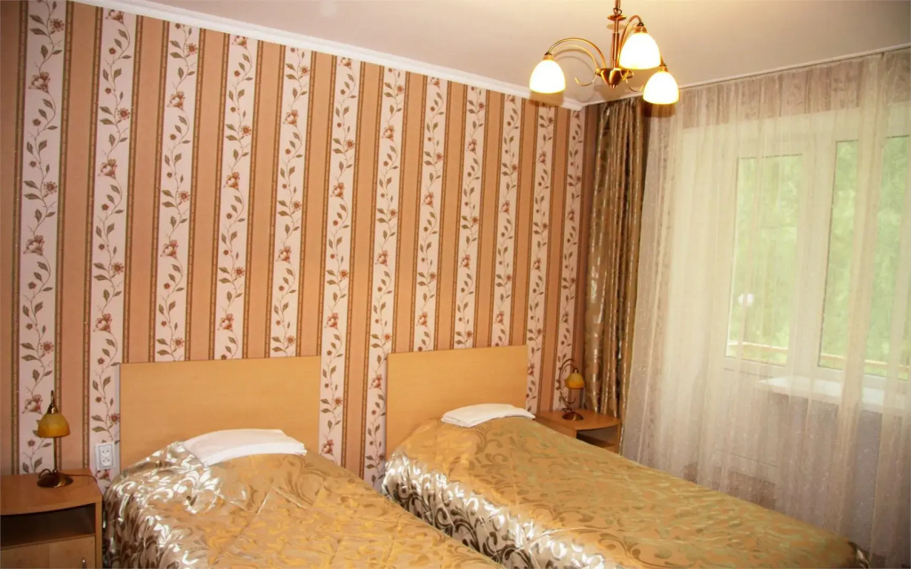 Standard Double room (twin beds)
