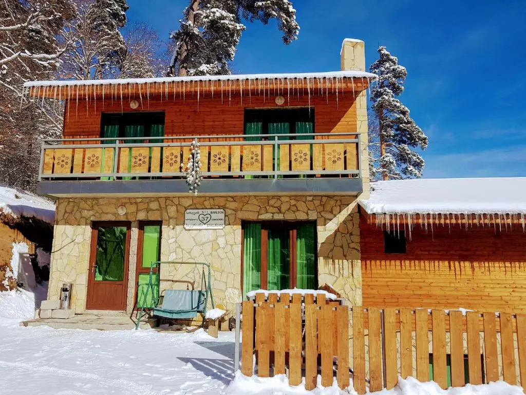 Villa A Barleon Bakuriani