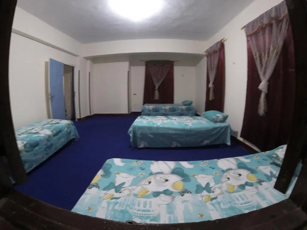Bed in Dorm (female dorm)