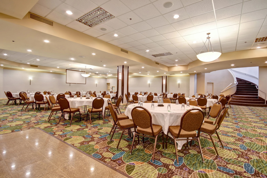 Holiday Inn & Suites Windsor Ambassador Bridge by IHG - Général