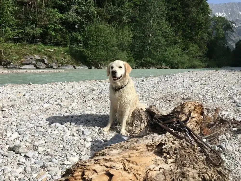 Apartment Silver Moon