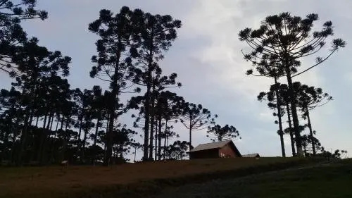 Celeiro das Águas Brancas