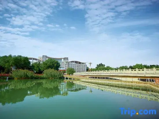 Двухместный номер Standard с видом на сад двуспальная кровать в Ningxia Yuehai Hotel