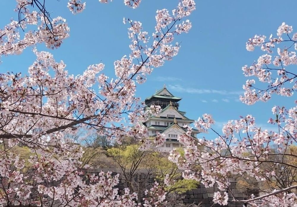 Ryokoheya Hankyukan 사진 17