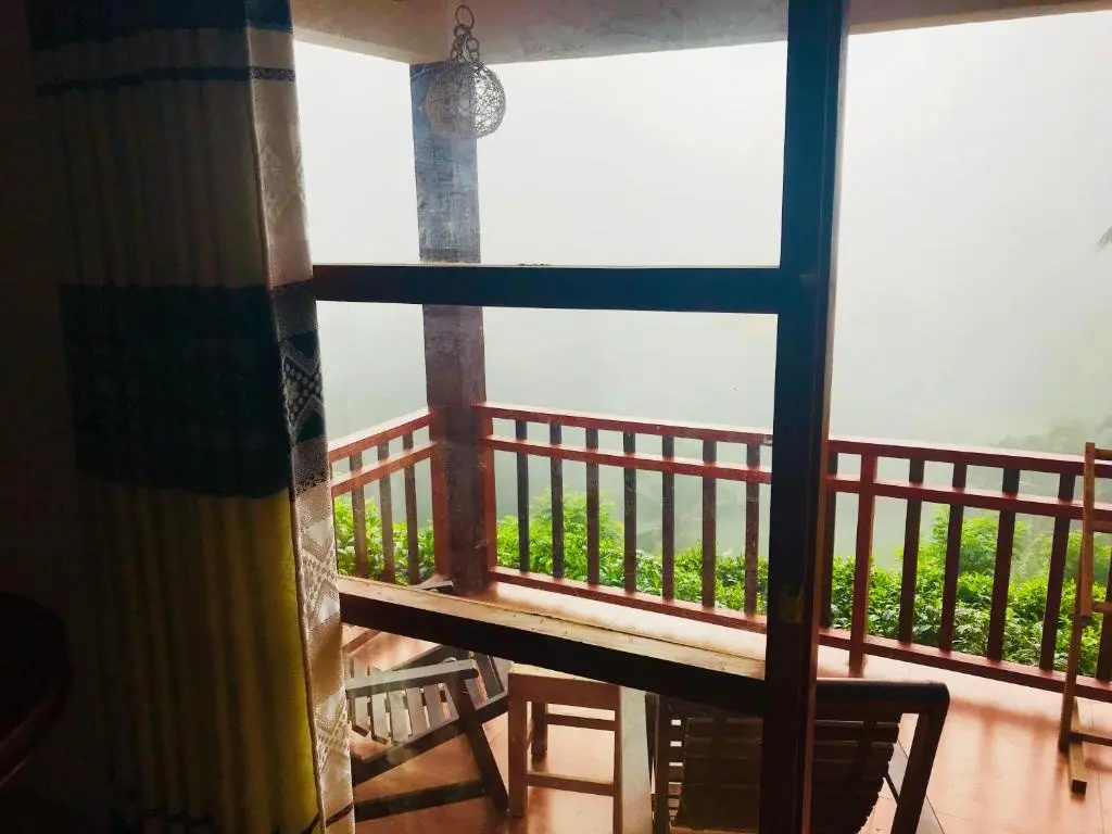 Rainforest Lodge - Chambres