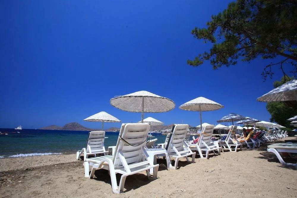 Beach & Waterfront