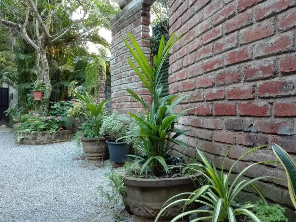 Mowgli Cottage