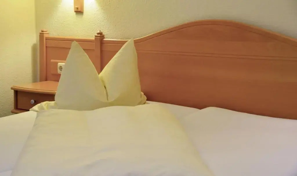 Hotel-Gasthof Am Forsthof - Chambres