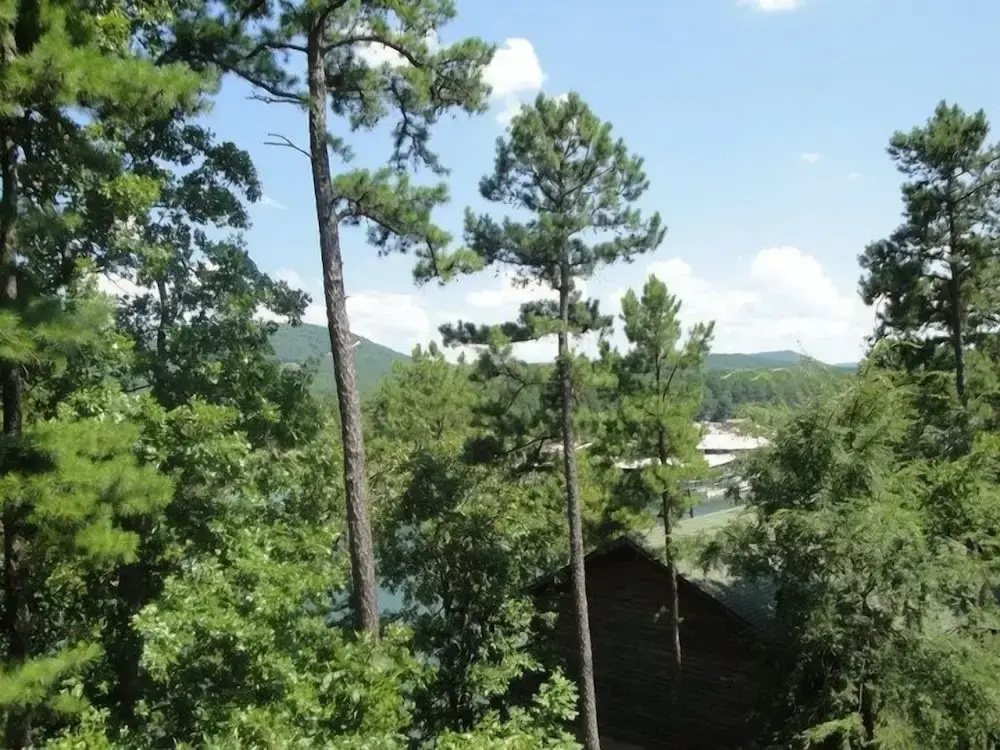 Lake view two bedroom, two bath log-sided cottage with private hot tub overlooking Lake Ouachita. by RedAwning