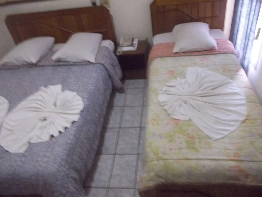 Hotel Tulipa - Général