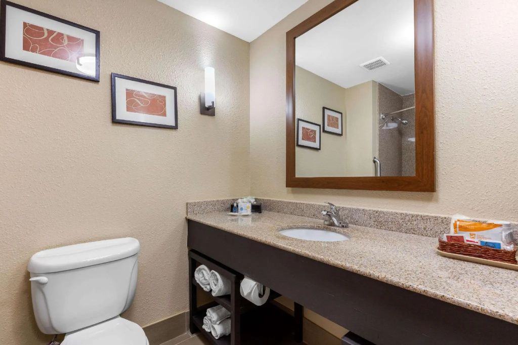 1 Bedroom Suite