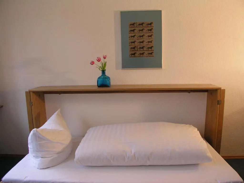 Standard Double room (twin beds)