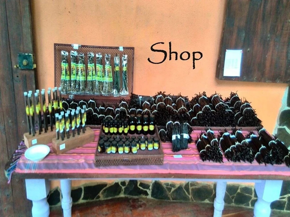 Vanilla Jungle Lodge - Bed & Breakfast - фото 8