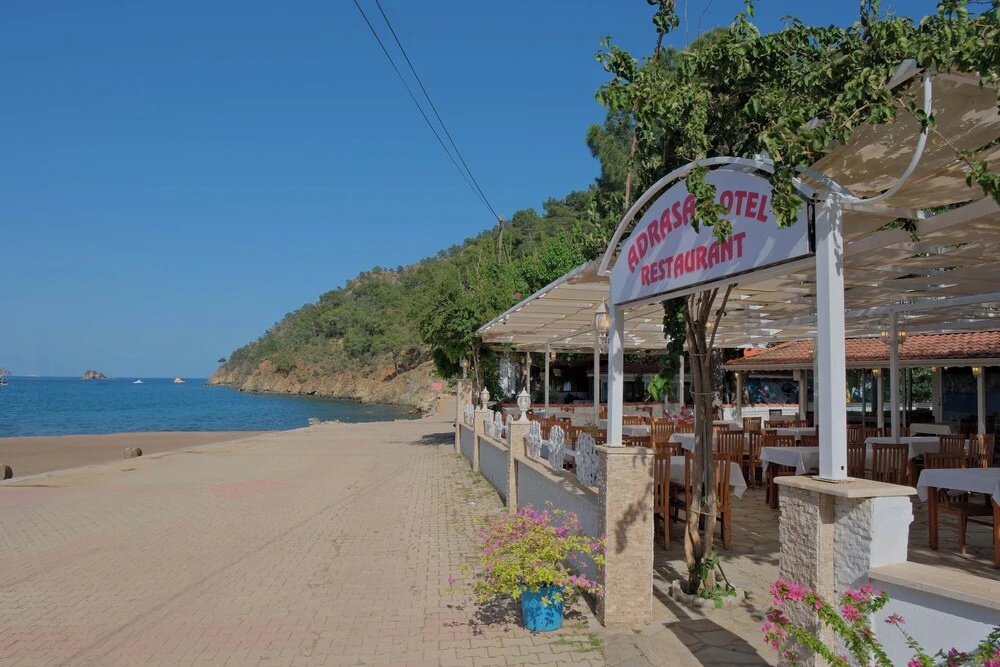 Beach & Waterfront
