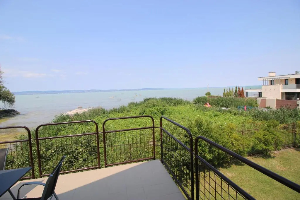 Nefelejcs - фото 5