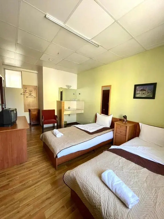 Standard Double room (twin beds)
