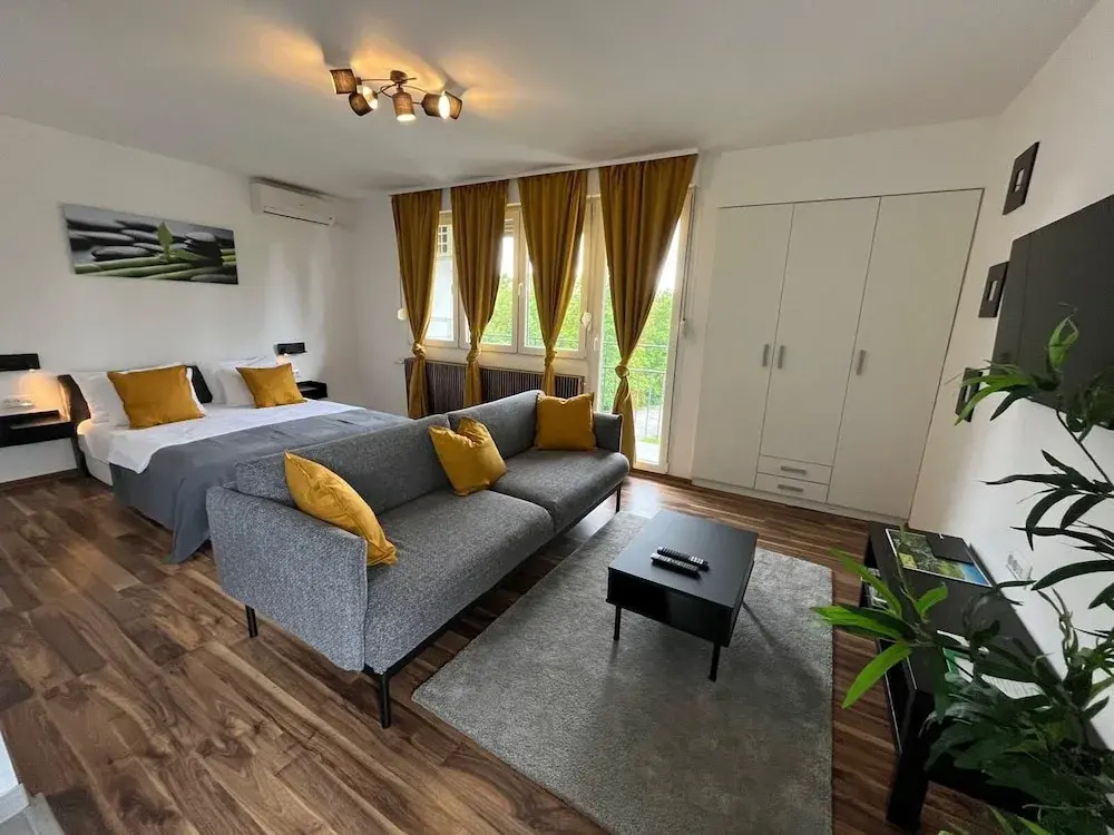 Deluxe Studio with balcony and with mountain view