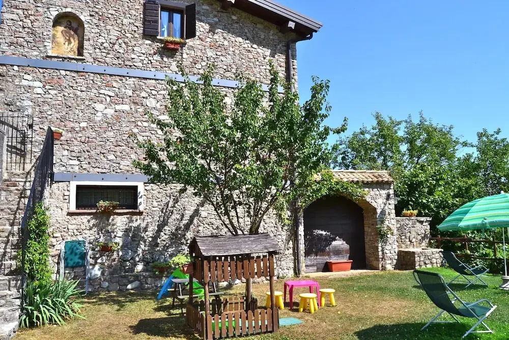 Mimosa in Hilly Area