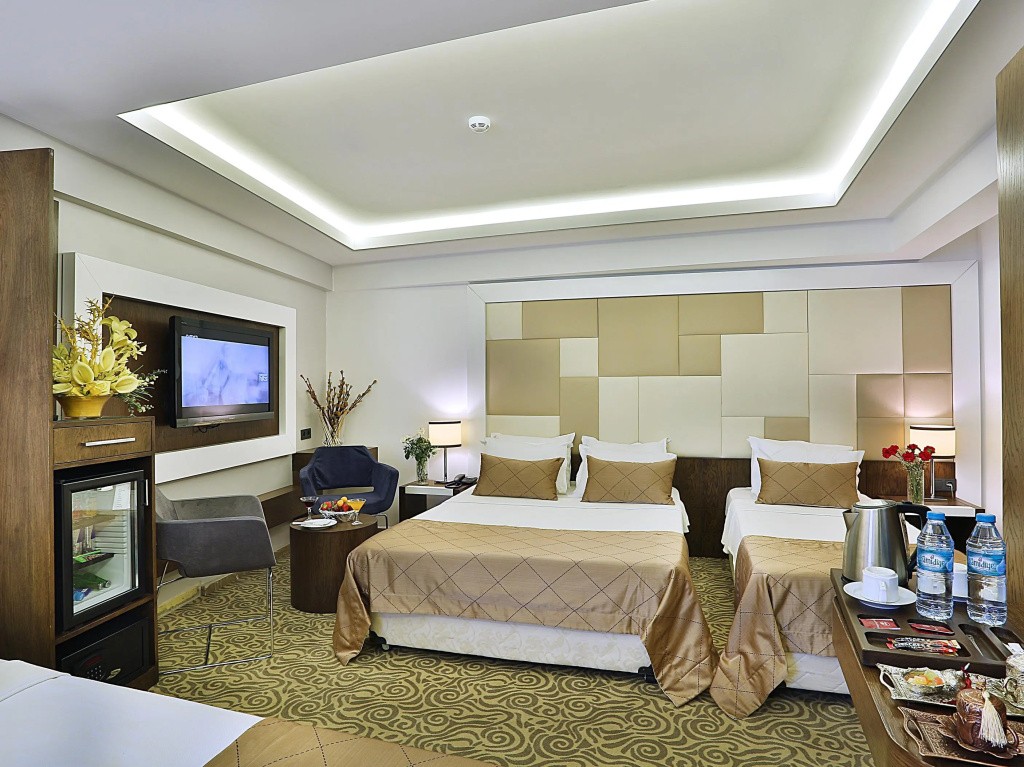 Grand Sagcanlar - Chambres