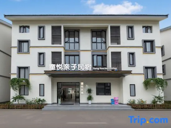 Tongyue Family Homestay with Pool Courtyard (Shanghai Jinshan North Station)