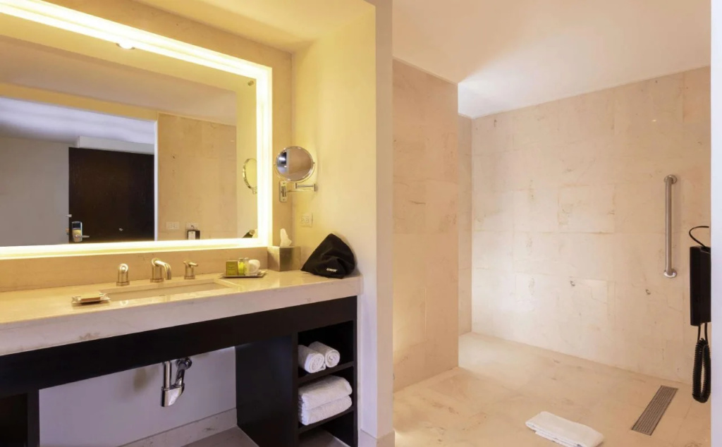 DoubleTree by Hilton Toluca - Général