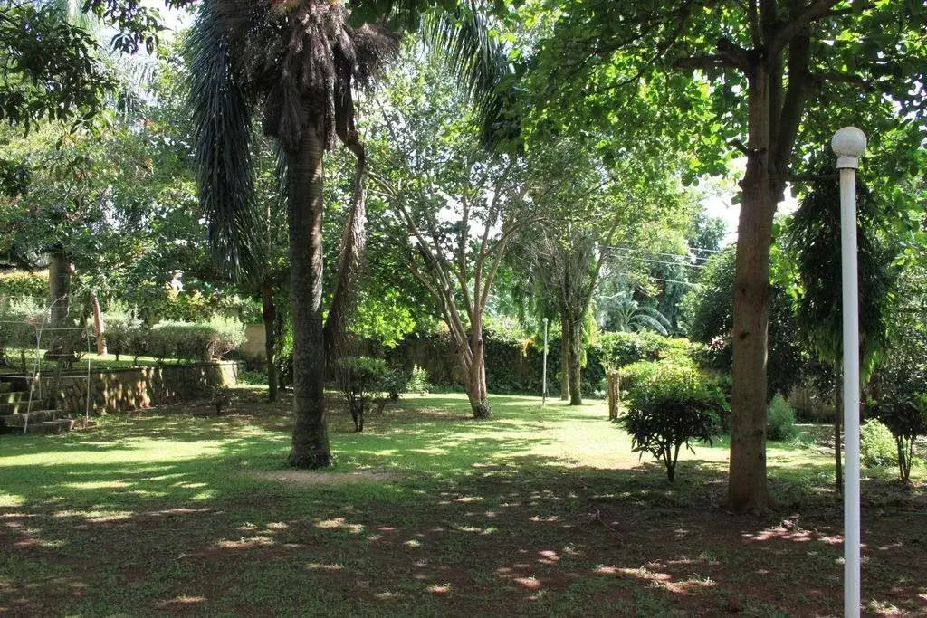 Serene Guesthouse, Entebbe - Général