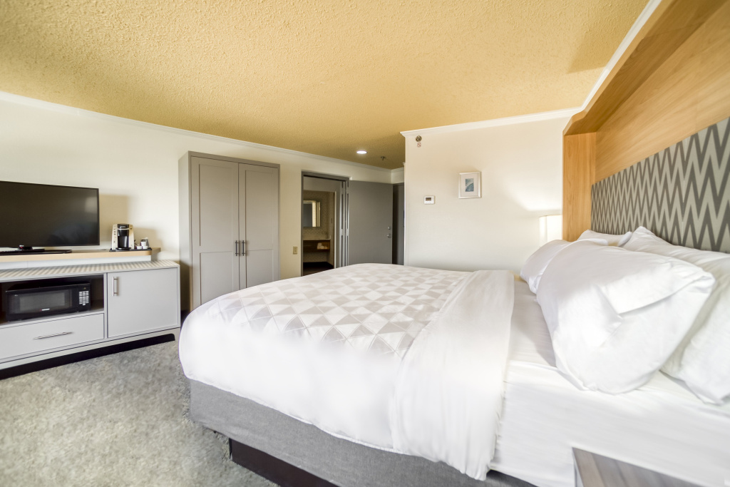 Holiday Inn Mobile-Dwtn/Hist. District by IHG - Général