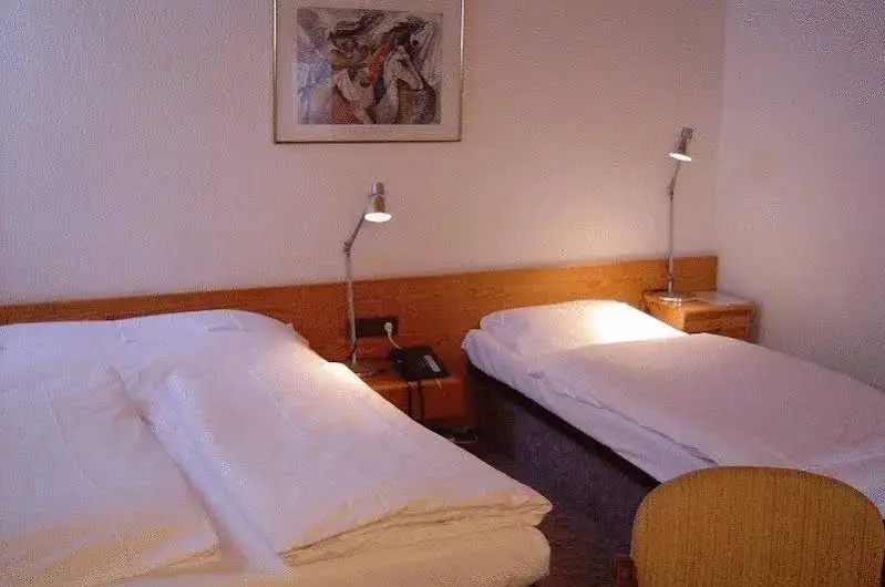Hotel & Restaurant Raisch - Général