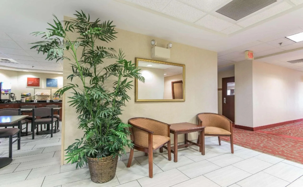 Hotel photo 12