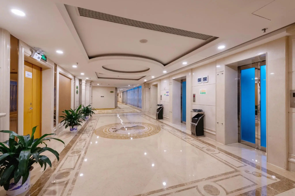 Vienna International Hotel Shenzhen North Station Branch - Général