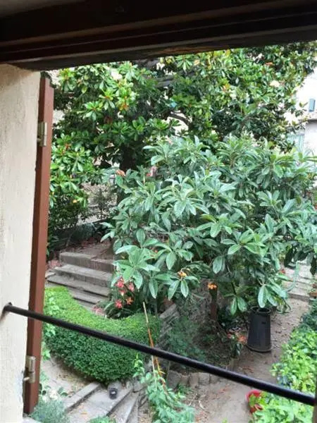 Hotel photo 29