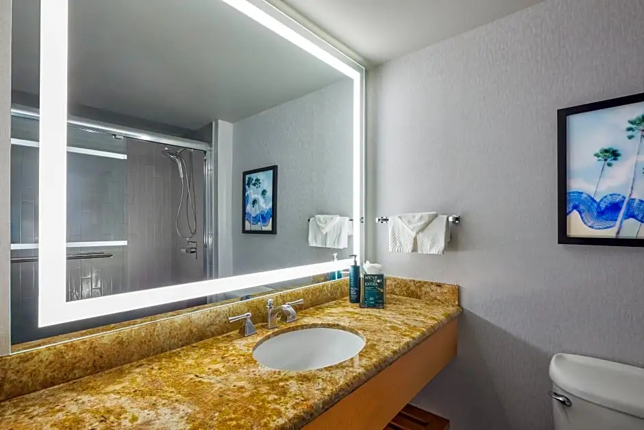 Hotel Fera Anaheim, a DoubleTree by Hilton - Chambres