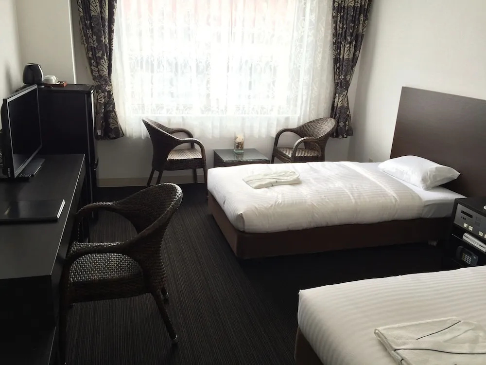 Standard Double room with city view (twin beds)