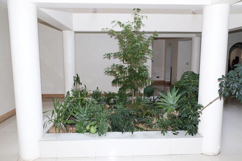 Image 12