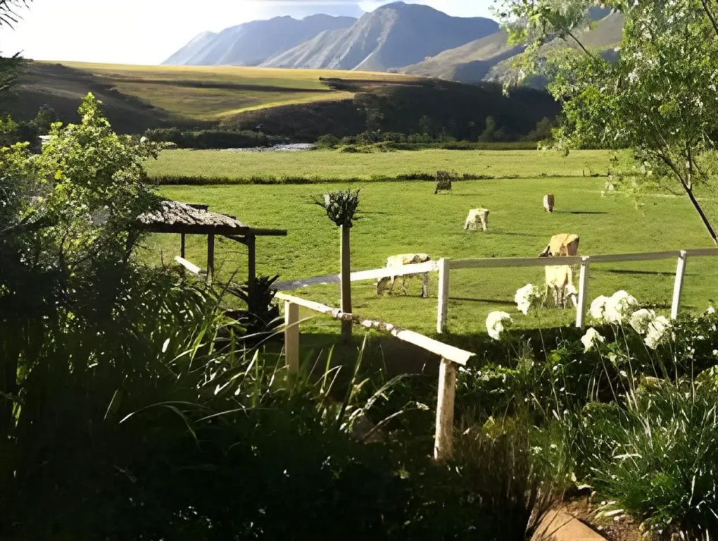 Arumvale Country House