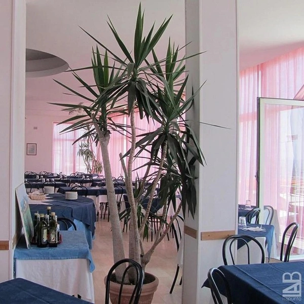 Hotel photo 27