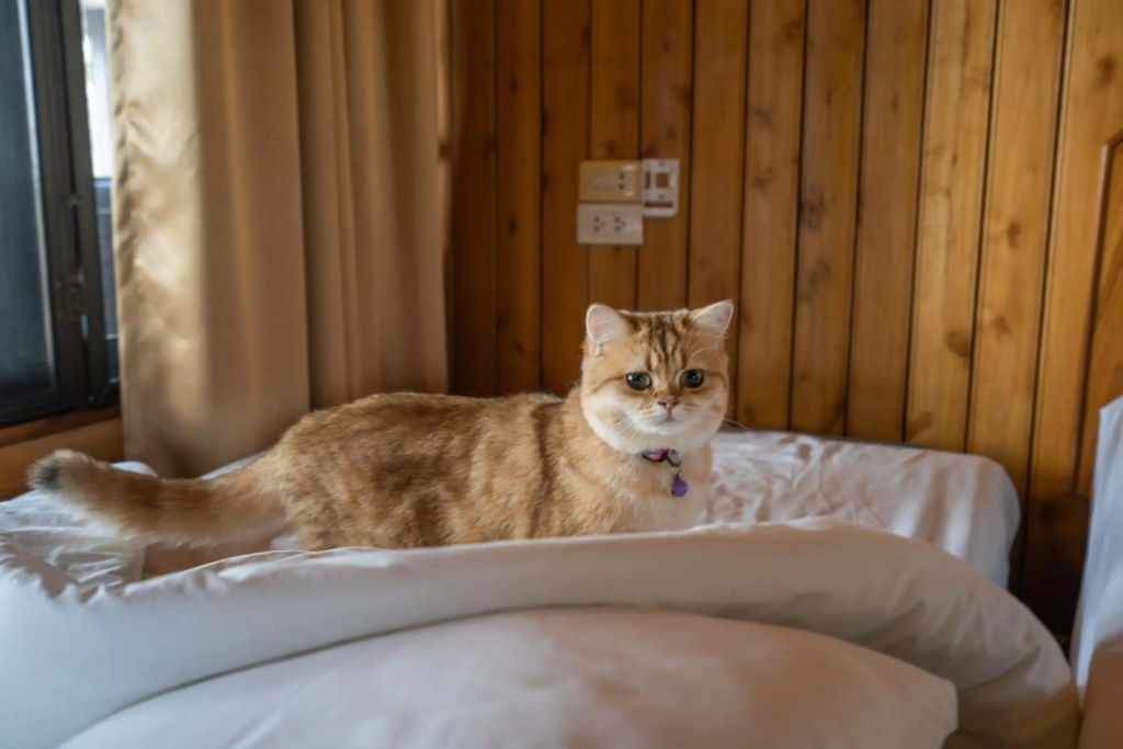Hotel photo 34