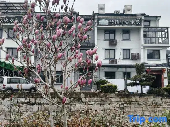 Tiantai Hou'an Zhuyaxuan Farm Stay