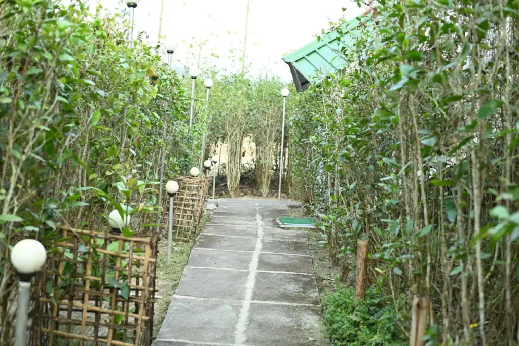 Homocation Changghar Kaziranga