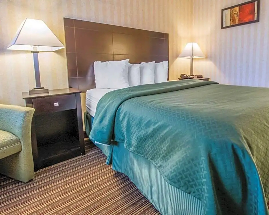 Comfort Inn - Chambres