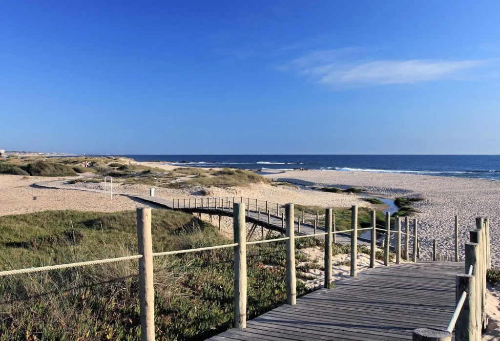 Beach & Waterfront